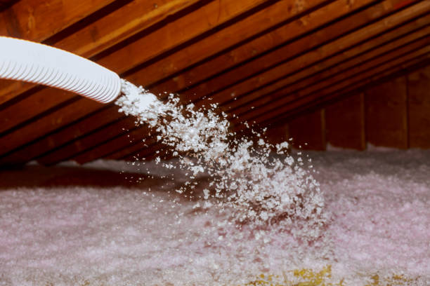Best Insulation for Commercial Buildings  in Riverside, MO