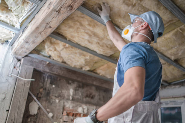 Best Affordable Insulation Services  in Riverside, MO