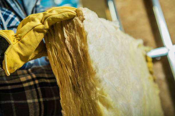 Best Fiberglass Insulation  in Riverside, MO