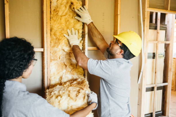 Best Insulation for New Construction  in Riverside, MO