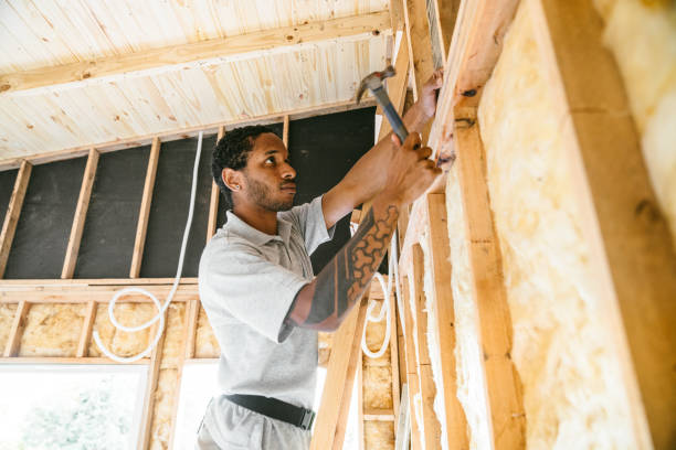 Best Insulation for New Construction  in Riverside, MO