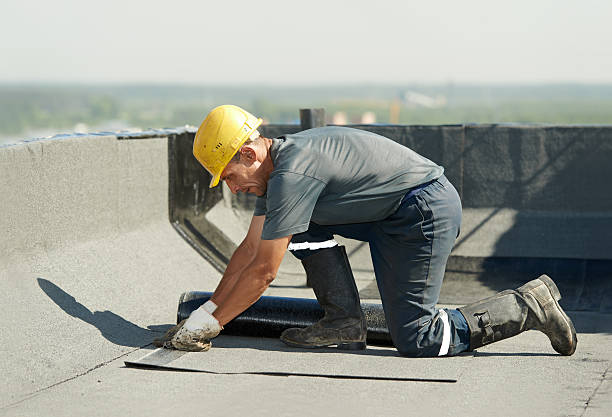 Best Best Insulation Companies  in Riverside, MO
