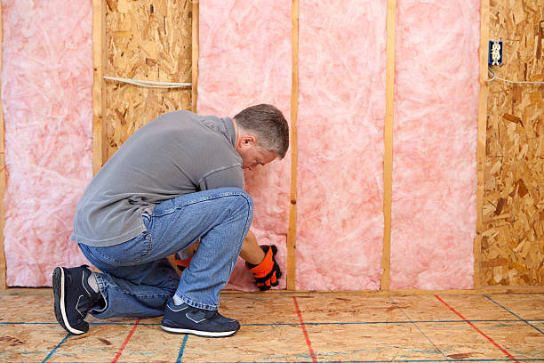 Insulation Inspection Services in Riverside, MO