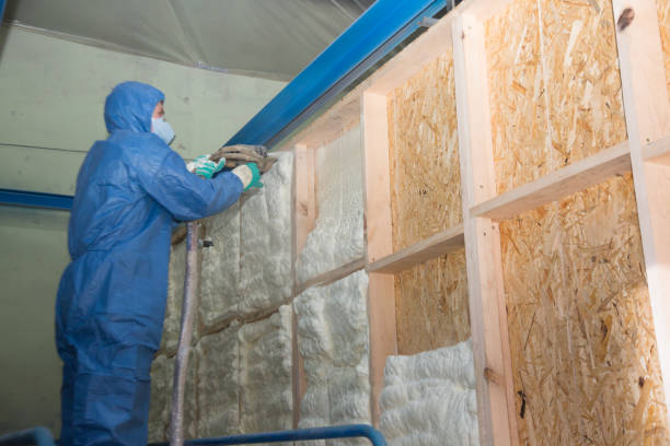Best Insulation Repair Services  in Riverside, MO